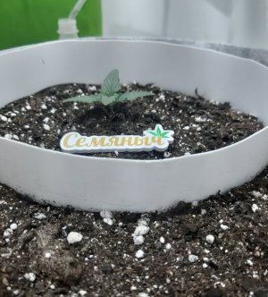 20230804_152918.jpg 20230804_152918.jpg