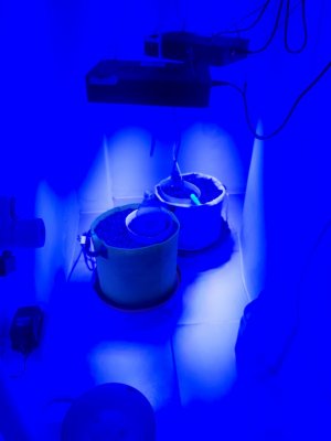 20230804_152826.jpg 20230804_152826.jpg