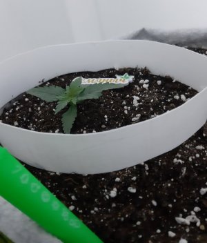 20230805_113211.jpg 20230805_113211.jpg