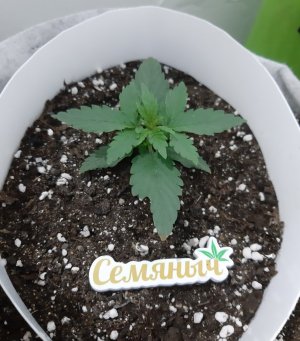 20230805_113010.jpg 20230805_113010.jpg