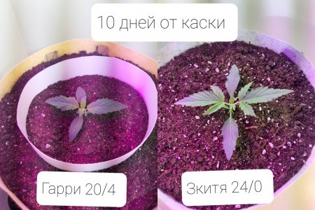 20220405_183113.jpg 20220405_183113.jpg