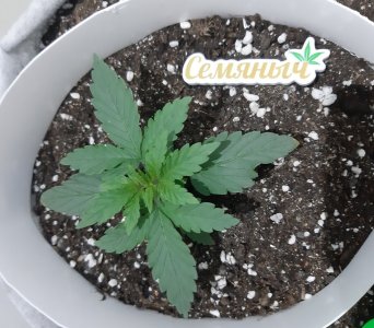 20230805_112906.jpg 20230805_112906.jpg