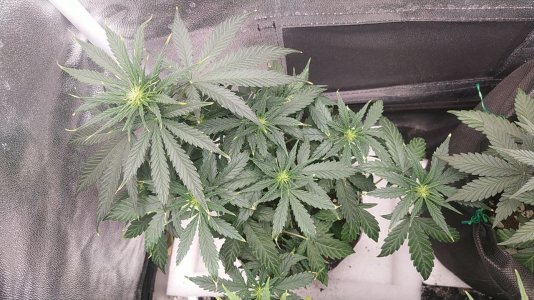 2131231.jpg 2131231.jpg