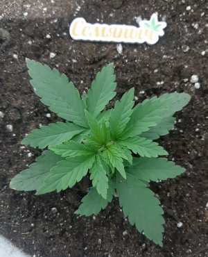 20230806_112313.jpg 20230806_112313.jpg