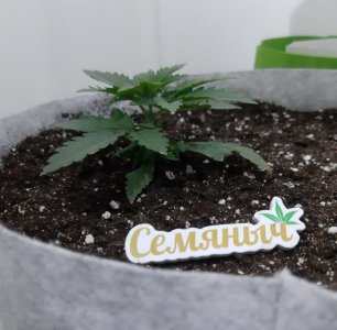 20230806_112043.jpg 20230806_112043.jpg