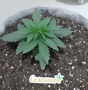 20230806_111956.jpg 20230806_111956.jpg