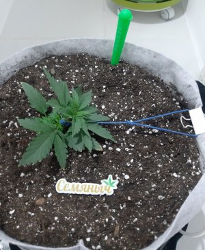 20230806_111909.jpg 20230806_111909.jpg