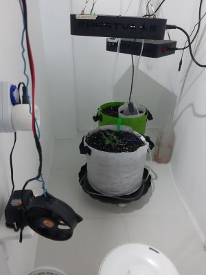 20230806_111758.jpg 20230806_111758.jpg