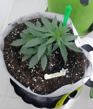 20230808_191152.jpg 20230808_191152.jpg