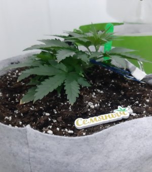 20230808_191129.jpg 20230808_191129.jpg