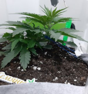 20230808_192324.jpg 20230808_192324.jpg