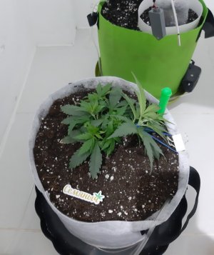 20230808_192146.jpg 20230808_192146.jpg