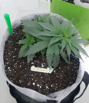 20230808_193116.jpg 20230808_193116.jpg