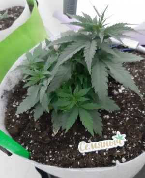 20230809_172052.jpg 20230809_172052.jpg