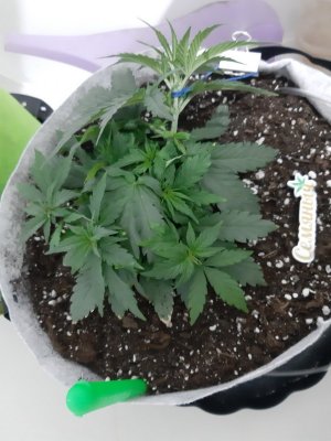 20230809_172200.jpg 20230809_172200.jpg