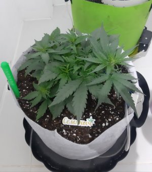 20230809_183444.jpg 20230809_183444.jpg