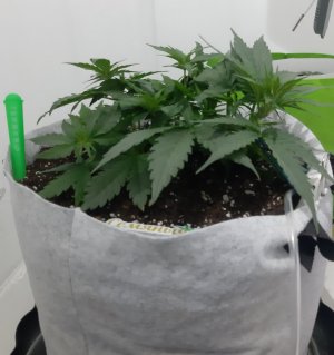 20230809_184007.jpg 20230809_184007.jpg