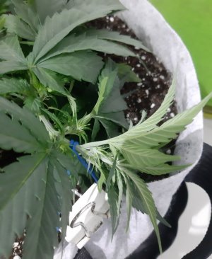 20230810_184614.jpg 20230810_184614.jpg