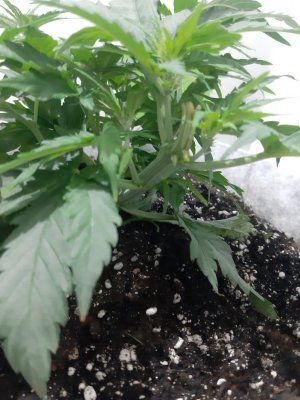 20230810_192041.jpg 20230810_192041.jpg