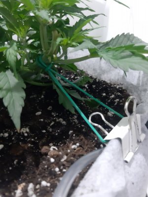 20230810_192026.jpg 20230810_192026.jpg