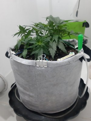 20230810_191801.jpg 20230810_191801.jpg