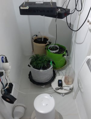 20230811_194618.jpg 20230811_194618.jpg