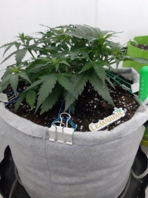 20230811_194710.jpg 20230811_194710.jpg