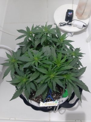 20230811_205538.jpg 20230811_205538.jpg