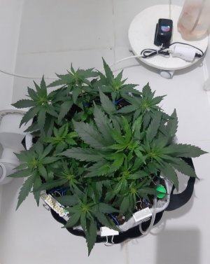 20230811_205429.jpg 20230811_205429.jpg