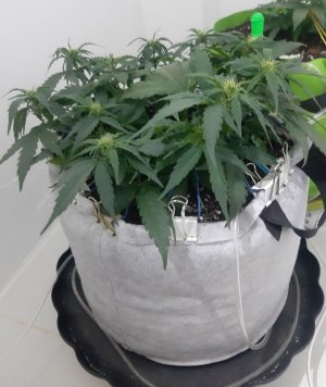 20230812_200825.jpg 20230812_200825.jpg