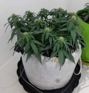 20230812_201812.jpg 20230812_201812.jpg