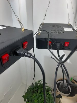 20230813_144810.jpg 20230813_144810.jpg