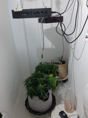 20230813_144746.jpg 20230813_144746.jpg