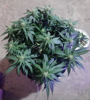 20230813_143450.jpg 20230813_143450.jpg