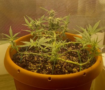 20230817_182649.jpg 20230817_182649.jpg