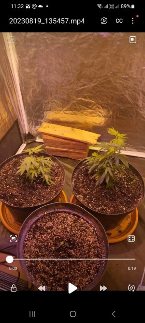 Screenshot_20230820_113227_Video Player.jpg