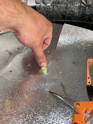 749C4941-8310-499C-8E19-9F7FFFBB5AB6.jpeg 749C4941-8310-499C-8E19-9F7FFFBB5AB6.jpeg