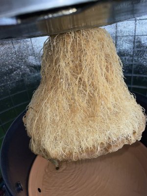 ADD47B21-25BE-4D65-A0BB-77ED63F22DA1.jpeg ADD47B21-25BE-4D65-A0BB-77ED63F22DA1.jpeg