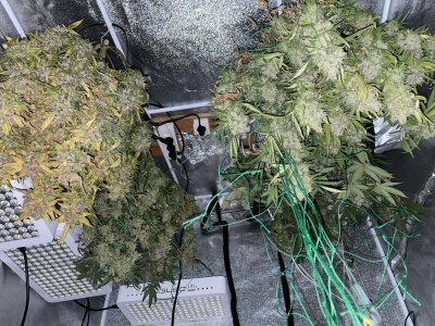 71ECA272-3751-4B13-B13D-29EE0BC57FD0.jpeg 71ECA272-3751-4B13-B13D-29EE0BC57FD0.jpeg