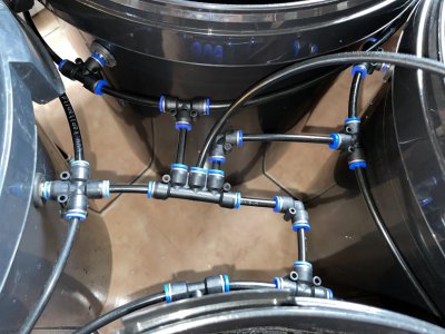 DAD81584-C27A-42A0-B61B-0F72350B053B.jpeg DAD81584-C27A-42A0-B61B-0F72350B053B.jpeg