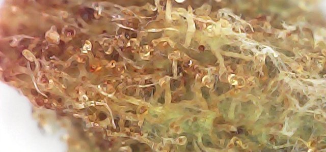 Photo_20230816232708.jpg Photo_20230816232708.jpg