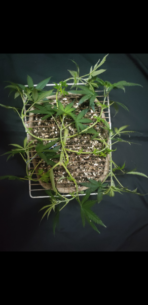 S30902-214054.png S30902-214054.png