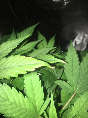 1694971001310.png 1694971001310.png