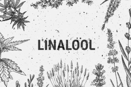 1695210395912.png 1695210395912.png