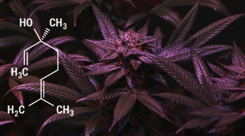 1695210431280.png 1695210431280.png