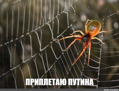 c624163931dec0480effc8cc39549831.jpg c624163931dec0480effc8cc39549831.jpg