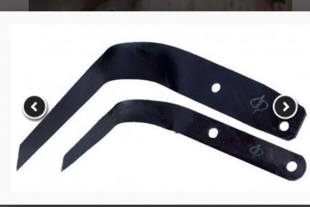 IMG_4389.jpeg IMG_4389.jpeg