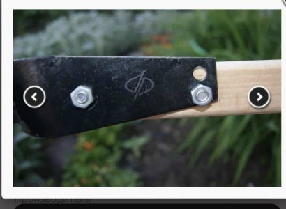 IMG_4388.jpeg IMG_4388.jpeg