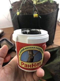 IMG_4418.jpeg IMG_4418.jpeg