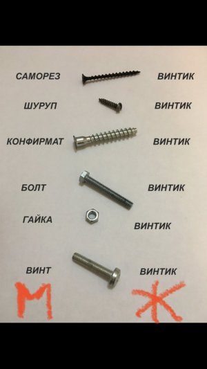 IMG_4446.jpeg IMG_4446.jpeg